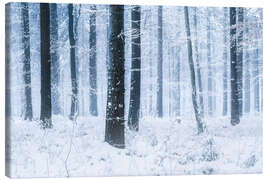 Canvas print Snowy Forest in winter in Scandinavia