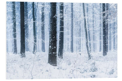 PVC print Snowy Forest in winter in Scandinavia