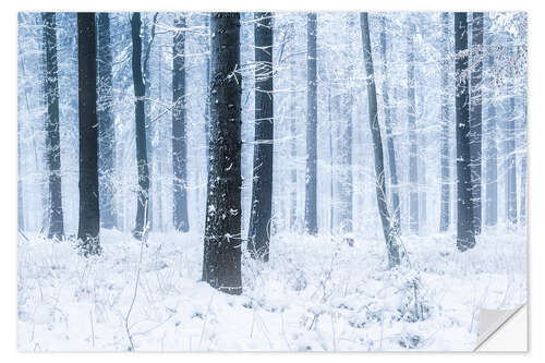 Wall sticker Snowy Forest in winter in Scandinavia