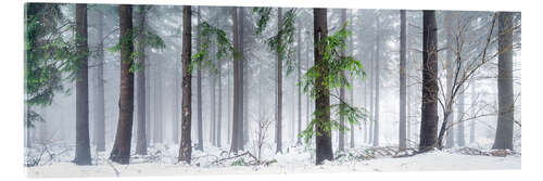 Quadro em acrílico Bavarian Forest as panorama in winter