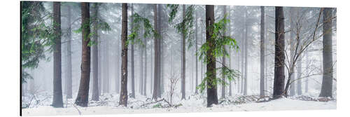 Alubild Bayerischer Wald als Panorama im Winter