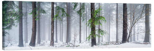 Canvas print Bavarian Forest as panorama in winter