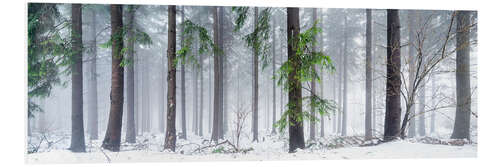 Stampa su PVC Bavarian Forest as panorama in winter