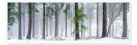 Poster Forêt bavaroise en hiver, photo panoramique