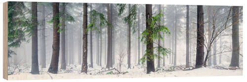 Tableau en bois Forêt bavaroise en hiver, photo panoramique