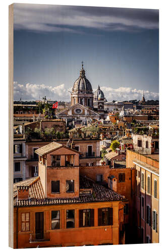 Puutaulu Over the roofs of Rome, Italy