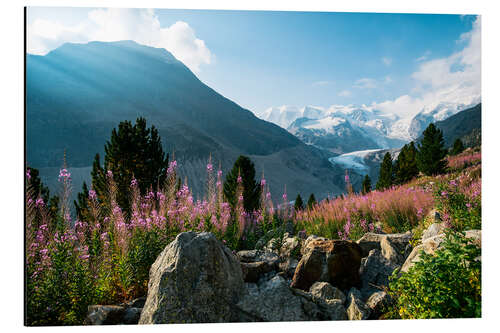 Tableau en aluminium Panoramic view of Morteratsch valley with Piz Palu peak in the background Pontresina, Endg