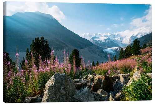 Obraz na płótnie Panoramic view of Morteratsch valley with Piz Palu peak in the background Pontresina, Endg