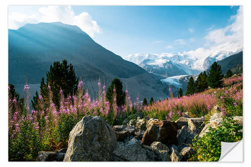 Autocolante decorativo Panoramic view of Morteratsch valley with Piz Palu peak in the background Pontresina, Endg