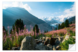 Sticker mural Panoramic view of Morteratsch valley with Piz Palu peak in the background Pontresina, Endg