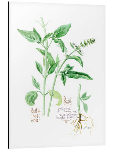 Tableau en aluminium Herbs & Spices collection: Basil