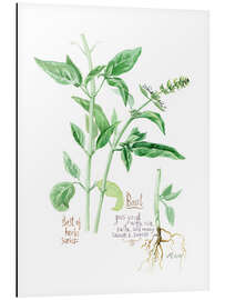 Aluminium print Herbs &amp; Spices collection: Basil