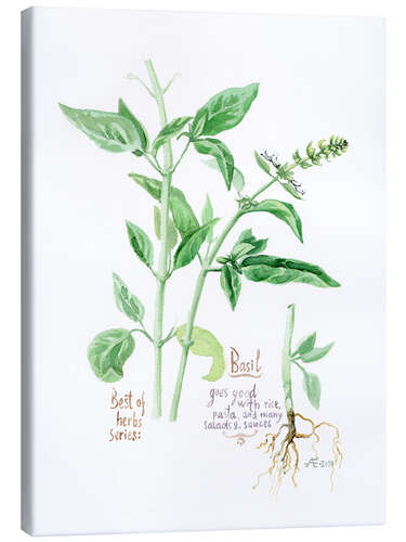 Canvastavla Herbs & Spices collection: Basil