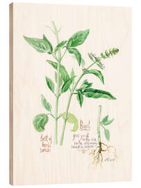 Wood print Herbs &amp; Spices collection: Basil