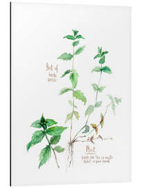 Tableau en aluminium Herbs &amp; Spices collection: Mint