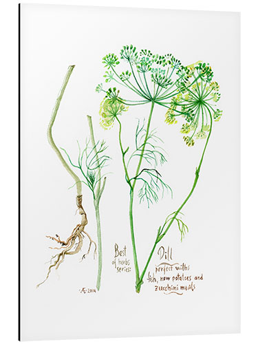 Aluminium print Herbs & Spices collection: Dill