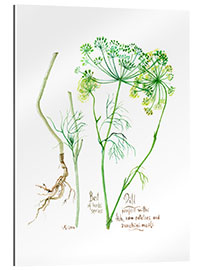 Gallery print Herbs &amp; Spices collection: Dill