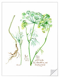 Selvklæbende plakat Herbs &amp; Spices collection: Dill