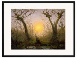 Gerahmter Kunstdruck Weidengebüsch bei tiefstehender Sonne