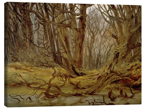 Canvas print Forest in late autumn