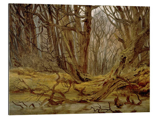 Gallery print Forest in late autumn