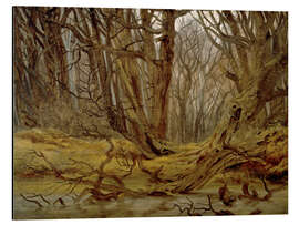 Magnettafel Wald im Spätherbst