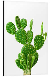 Quadro em alumínio Prickly Precious