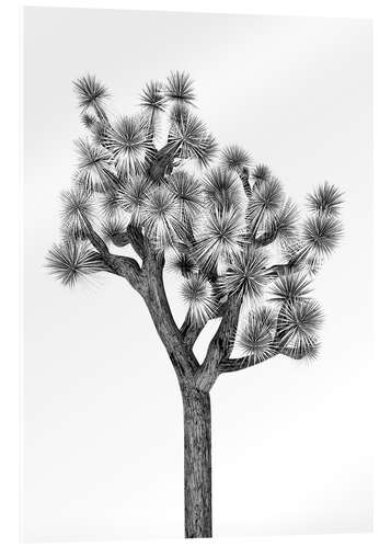 Quadro em acrílico Under the cactus tree