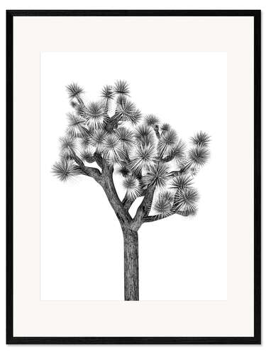 Impression artistique encadrée Sous le cactus