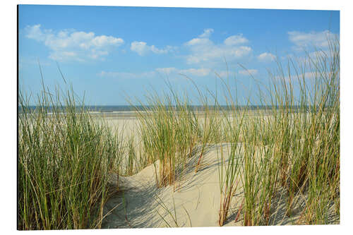 Cuadro de aluminio Dune by the sea