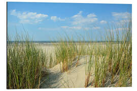 Aluminium print Dune by the sea