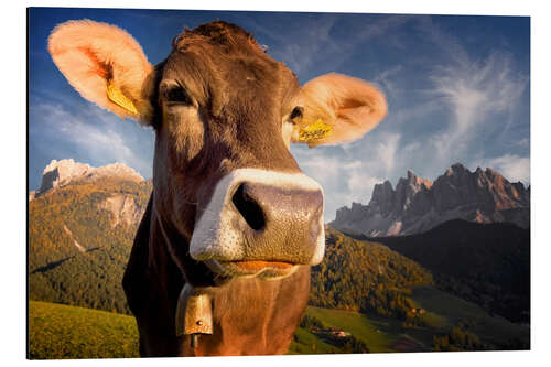 Alumiinitaulu Mountain Moo(d)