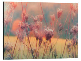 Magnettafel Vergänglichkeit