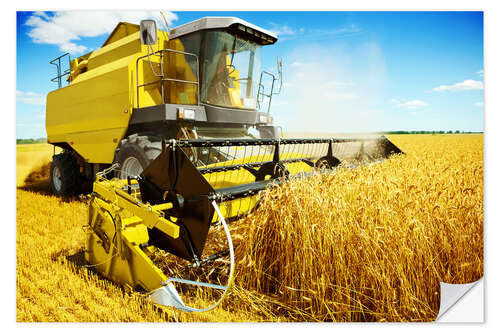 Wall sticker During harvest