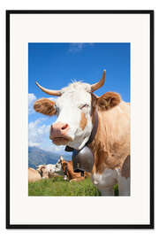 Gerahmter Kunstdruck Kuh genießt die Sonne