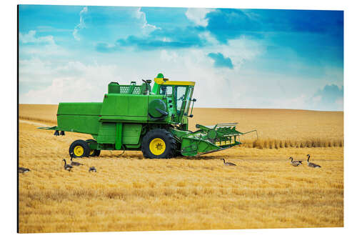 Quadro em alumínio Harvest on the field