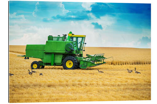 Gallery print Harvest on the field