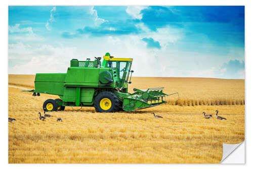 Selvklebende plakat Harvest on the field