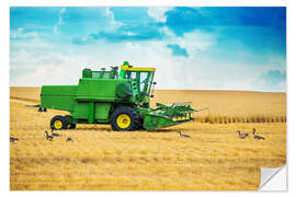 Selvklebende plakat Harvest on the field