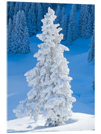 Acrylic print Winter in the Alps