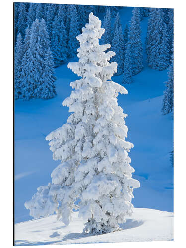 Aluminium print Winter in the Alps