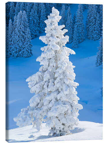 Leinwandbild Winter in den Alpen