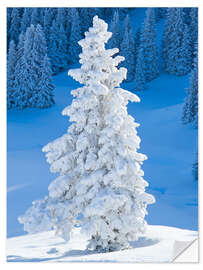 Selvklæbende plakat Winter in the Alps