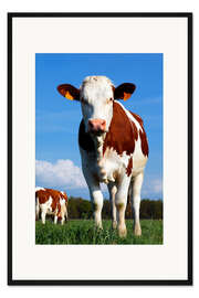 Gerahmter Kunstdruck Kuh Anna