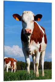 Magnettafel Kuh Anna