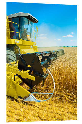 Galleritryk Combine harvester at work