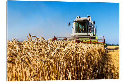 Gallery print Farmer at harvest