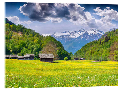 Akryylilasitaulu Meadow in the apls