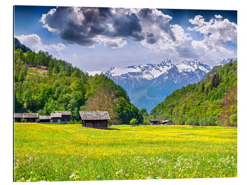 Galleriataulu Meadow in the apls