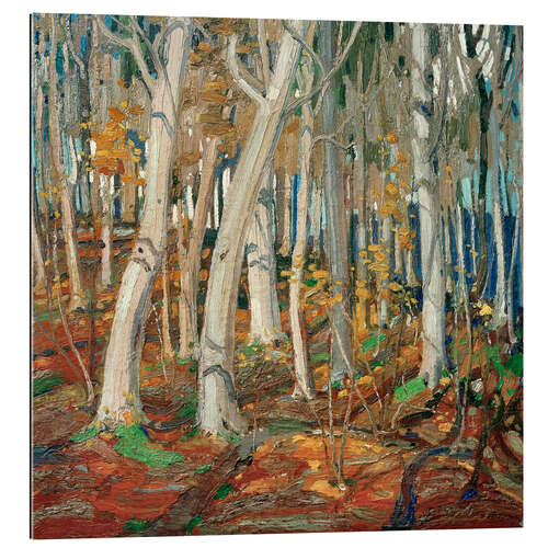 Gallery print Maple Woods, Bare Trunks